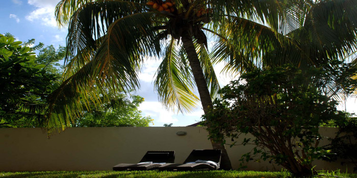 Zonnebedjes onder de palmen